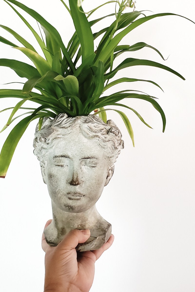 Our 10 Favorite Head Planters